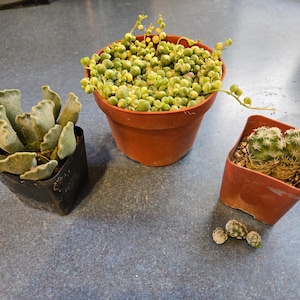 Donna added a photo of their purchase