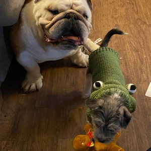 Tammy added a photo of their purchase