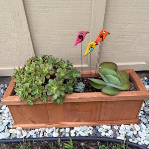 Cathy added a photo of their purchase