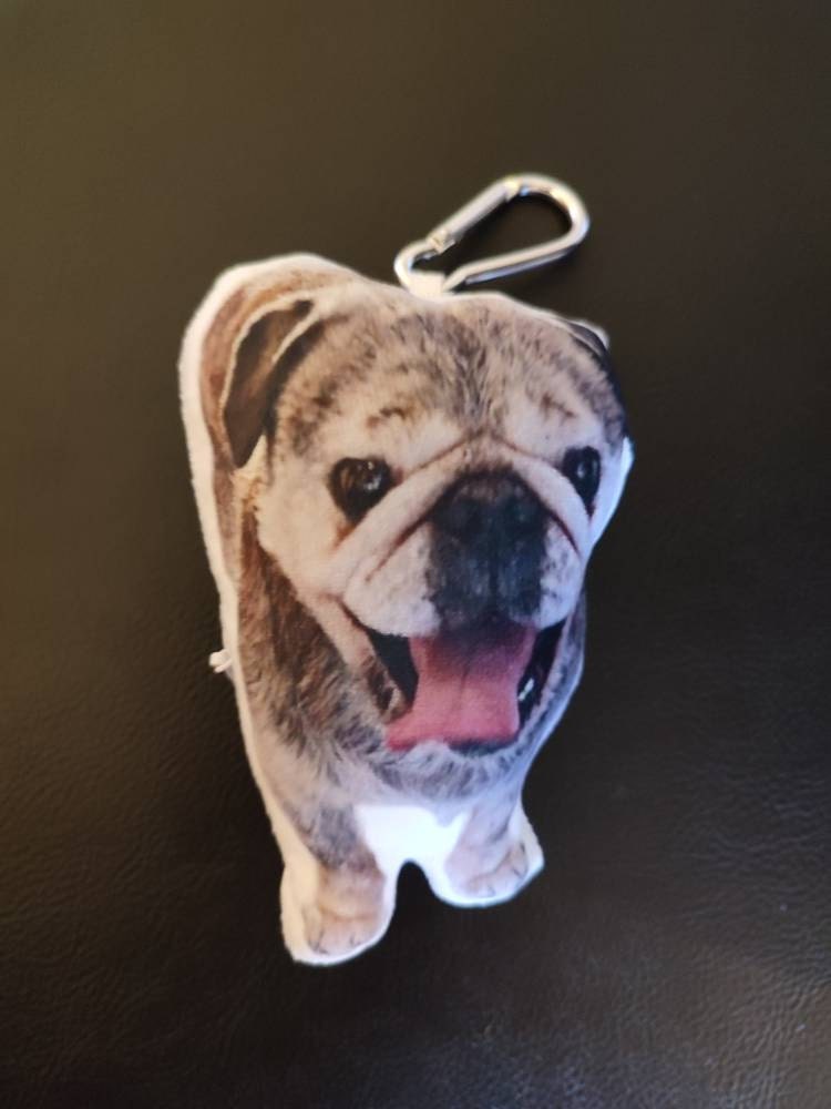 Custom Pet Pillow | Personalized Pillow | Pet Memorial Gift | Custom shaped pillow | Dog Pillow | Cat Pillow | Pet Lover Gift
