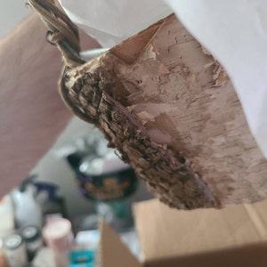 Eric added a photo of their purchase