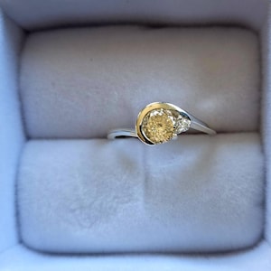 Petra added a photo of their purchase