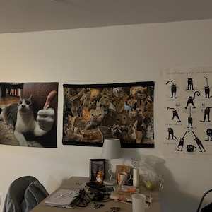 Molly ha aggiunto una foto del proprio acquisto