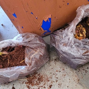 Christina added a photo of their purchase