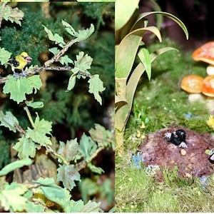 Margit added a photo of their purchase