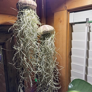 Misty added a photo of their purchase