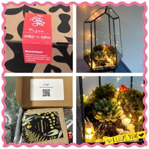 Kisga added a photo of their purchase
