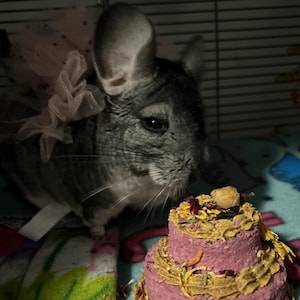 Evelyn ha añadido una foto de su compra