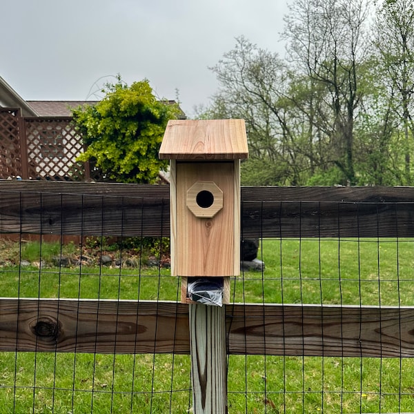 Barred Owl Nesting Box With Solar Powered PIR Wifi Camera; Opossum ...
