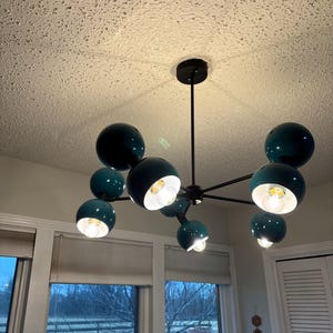 Shelly added a photo of their purchase