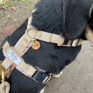 Meike added a photo of their purchase