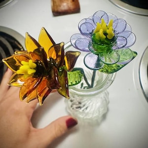 Lizi added a photo of their purchase
