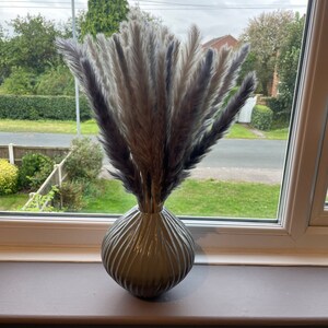 Deborah added a photo of their purchase