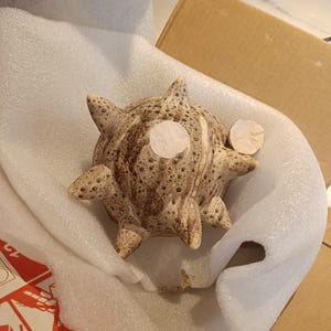 Aggeliki ha añadido una foto de su compra