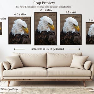 Laurie added a photo of their purchase