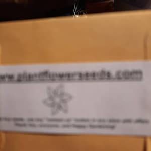 Paula added a photo of their purchase