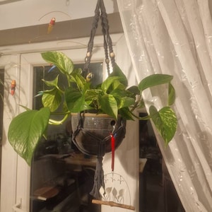 Cathy added a photo of their purchase