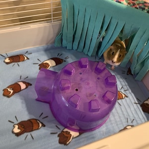 Shanda added a photo of their purchase