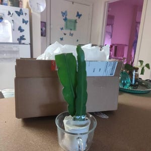 Nalda added a photo of their purchase