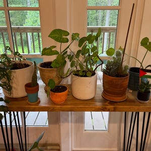 Jennifer added a photo of their purchase