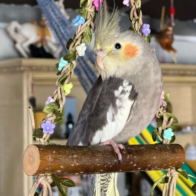 Image showcasing 15x22cm Handmade Sunflower Big Swings Natural Tree Branch Parrot Bird ...