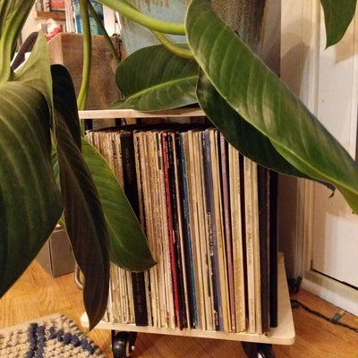 Storage Rack for 15 Cds Simple Modern Tabletop CD Holder Minimalist ...