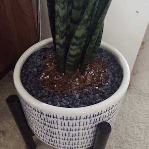 Megan added a photo of their purchase
