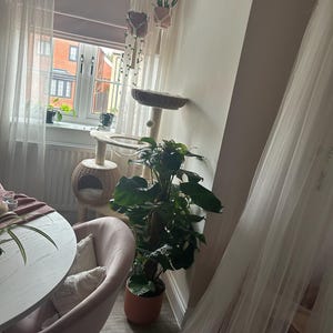 Sian ha aggiunto una foto del proprio acquisto