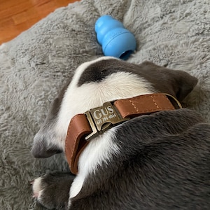 Amy added a photo of their purchase