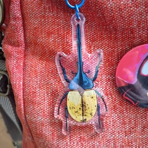 Ness added a photo of their purchase