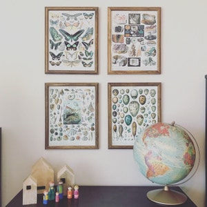 Fleurescent added a photo of their purchase