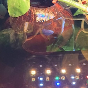 bones added a photo of their purchase
