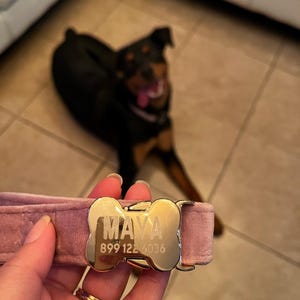 Fernanda added a photo of their purchase
