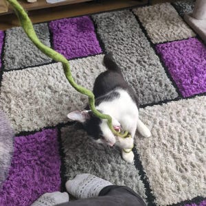 Azalea heeft een foto van de aankoop toegevoegd