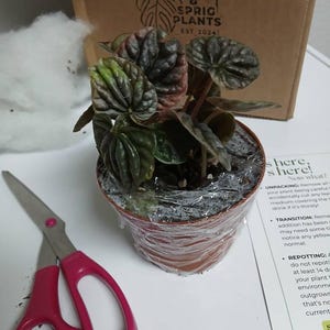 Pamela added a photo of their purchase