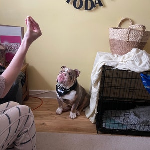 Lucy ha añadido una foto de su compra
