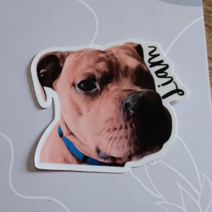 Mar added a photo of their purchase