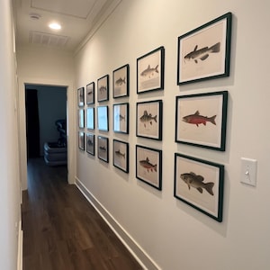 Mollie added a photo of their purchase