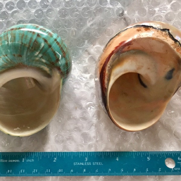 South African SARMATICUS TURBO Shell 3