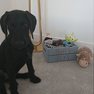 Jemma added a photo of their purchase
