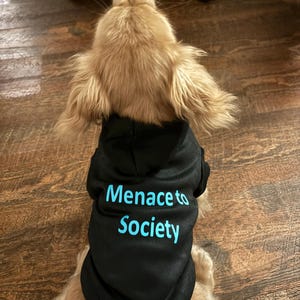 Polly added a photo of their purchase