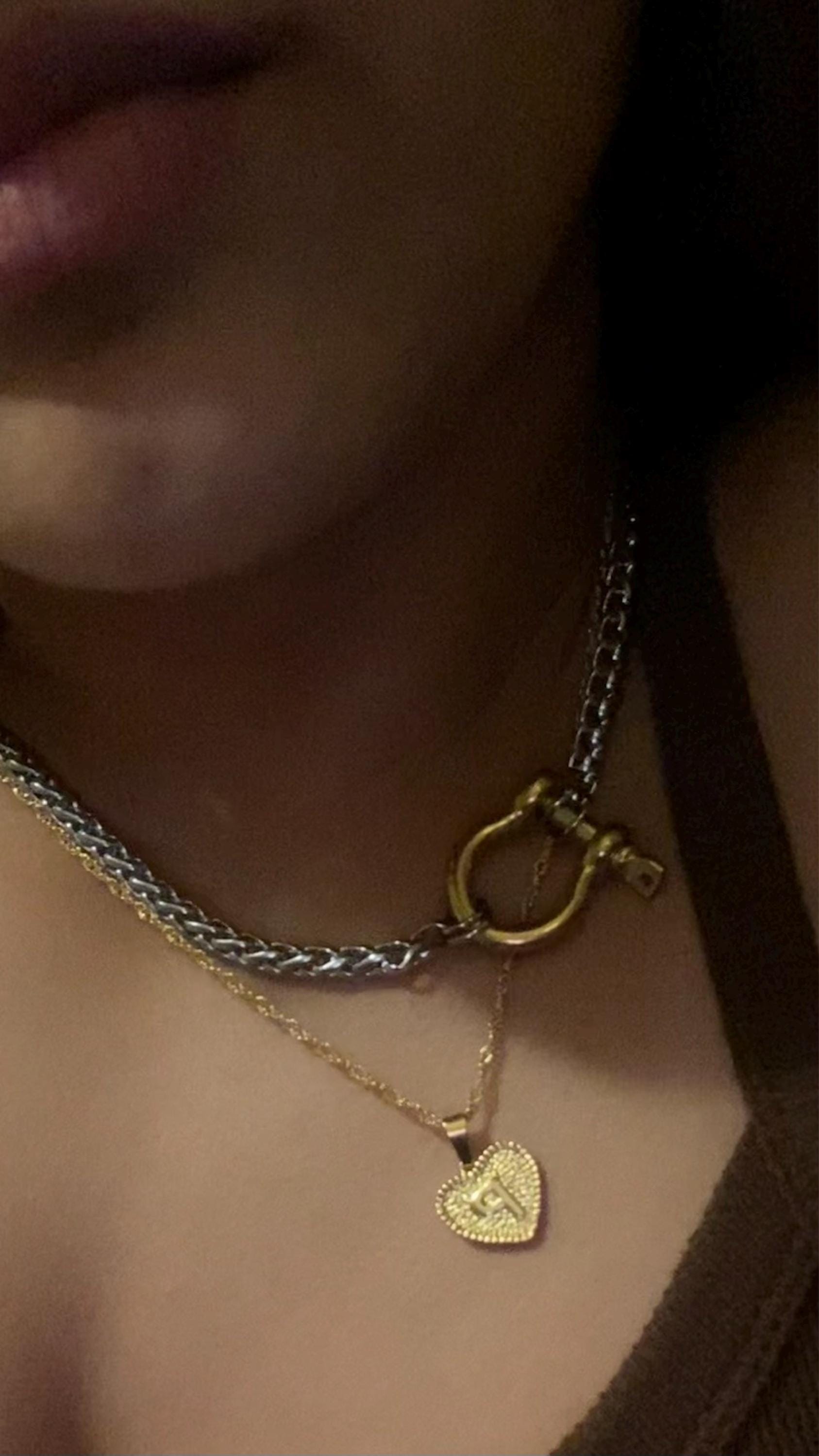 Horseshoe Shackle Stainless Steel Necklace - Chunky Choker Necklace - Bold Necklace - Punk Jewelry - Statement Piece - Carabiner Necklace