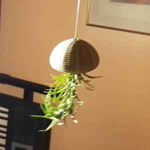 Jutta added a photo of their purchase