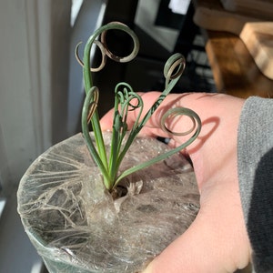 Hannah added a photo of their purchase