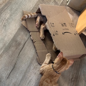 Tammy added a photo of their purchase