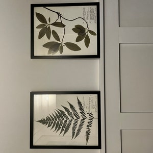 alexis added a photo of their purchase