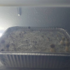 Byron added a photo of their purchase
