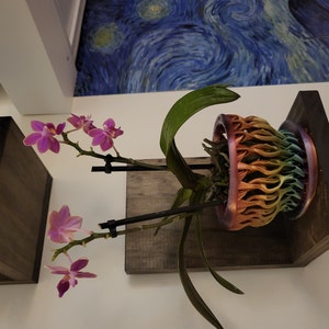 Lucía added a photo of their purchase