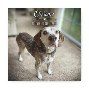 Lisa added a photo of their purchase