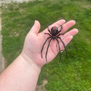 クモの黒ウィドウ、吹きガラスのクモ - Etsy 日本